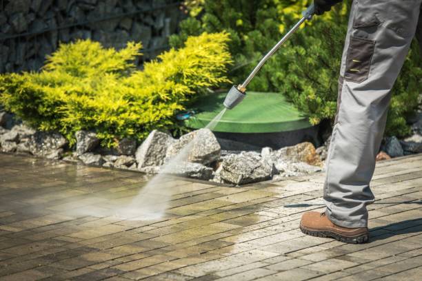 Best Roof Washing  in Morrisville, PA